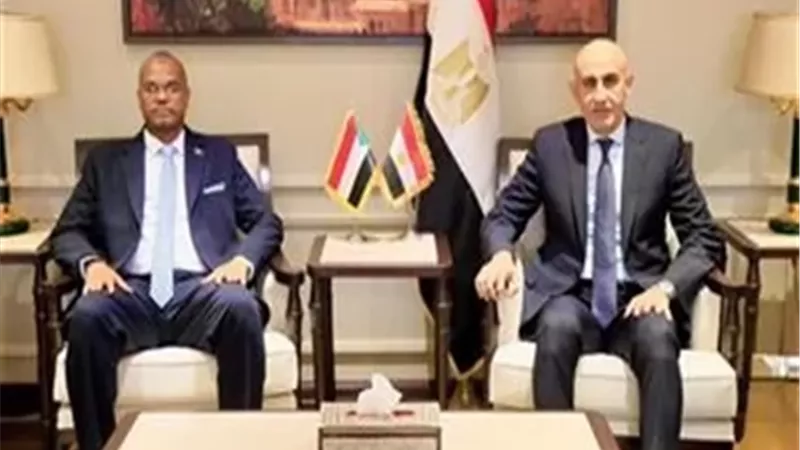 وزير التعليم يبحث سبل تعزيز التعاون مع نظيره السودانى