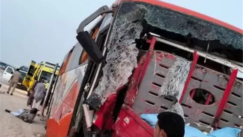 مصرع 3 فى تصادم سيارة نقل مع أتوبيس على طريق القصير - مرسى علم