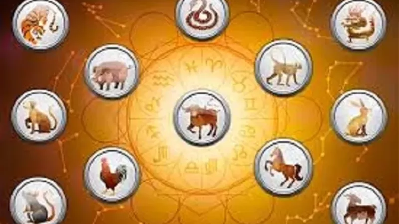 6 أبراج صينية على موعد مع ثروة كبيرة اليوم