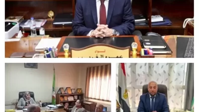 تشغيل السرفيس في قويسنا الاثنين المقبل وتنظيم التوك توك في شبين