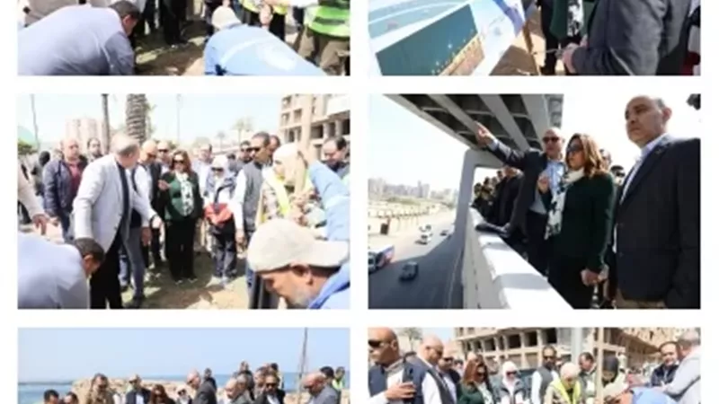 تفاصيل جولة وزيرة التنمية المحلية والبيئة بمحافظة الإسكندرية
