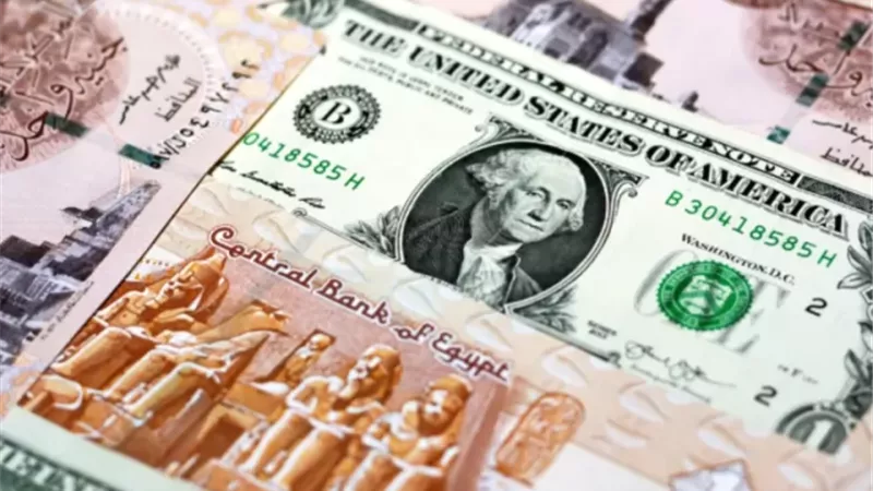 تراجع سعر الدولار أمام الجنيه المصري خلال منتصف التعاملات بالبنوك