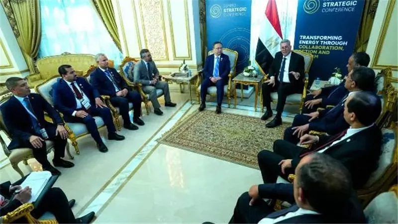 وزير البترول يبحث مع يونايتد إنرجي استخدام الطاقة الشمسية محل السولار