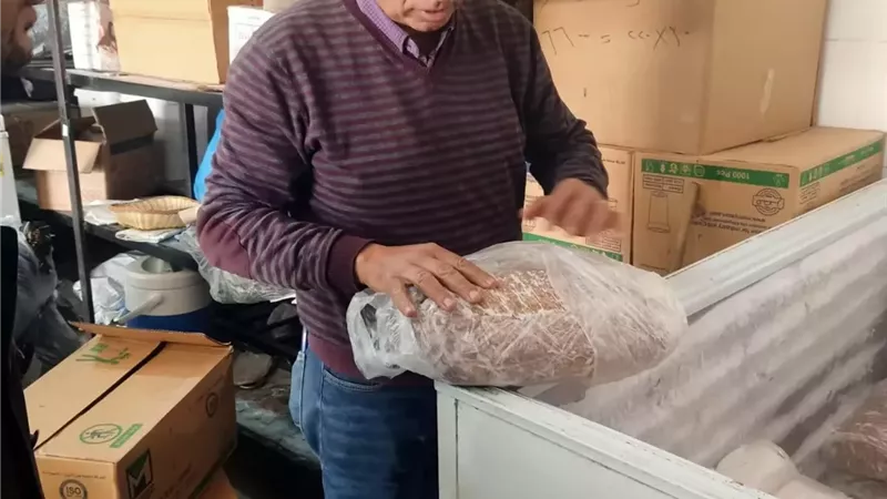 ضبط 4 أطنان لحوم بالمنيا وإعدام 563 كجم غير صالحة للاستهلاك