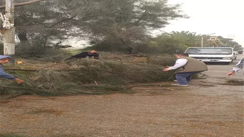 محافظ المنيا جهود مكثفة للتعامل مع تداعيات الأمطار وتقلبات الجو