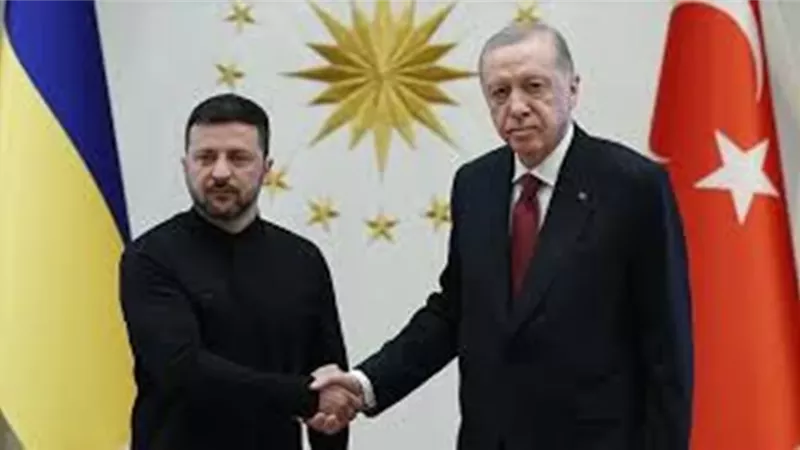أردوغان وزيلينسكي يبحثان سبل التعاون الأمني بين البلدين