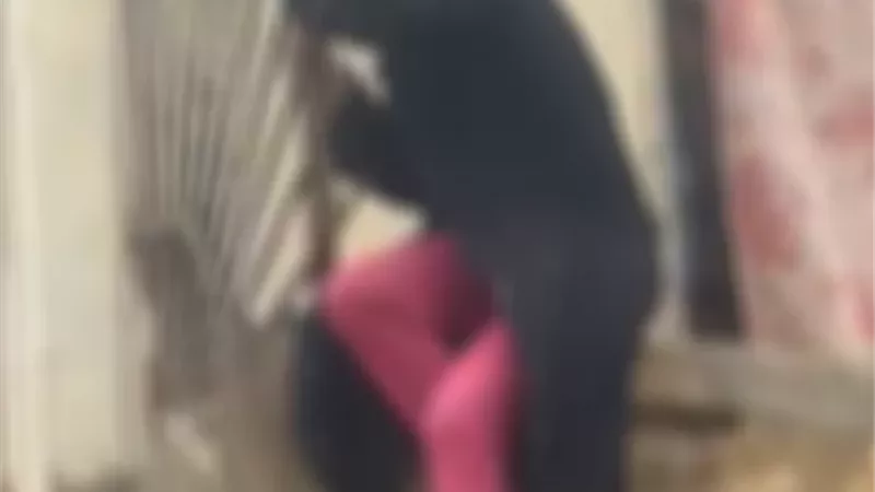 الداخلية