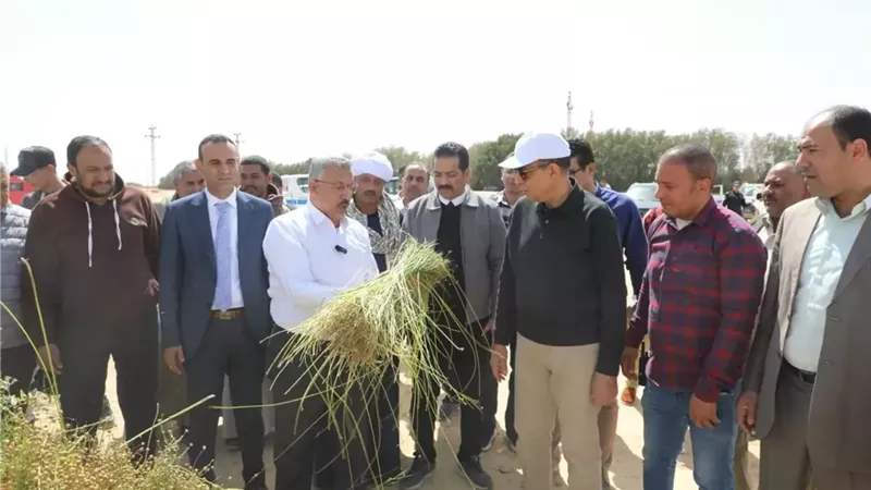 المحافظ يشهد حصاد 600 فدان كتان بأبوقرقاص لأول مرة في المنيا