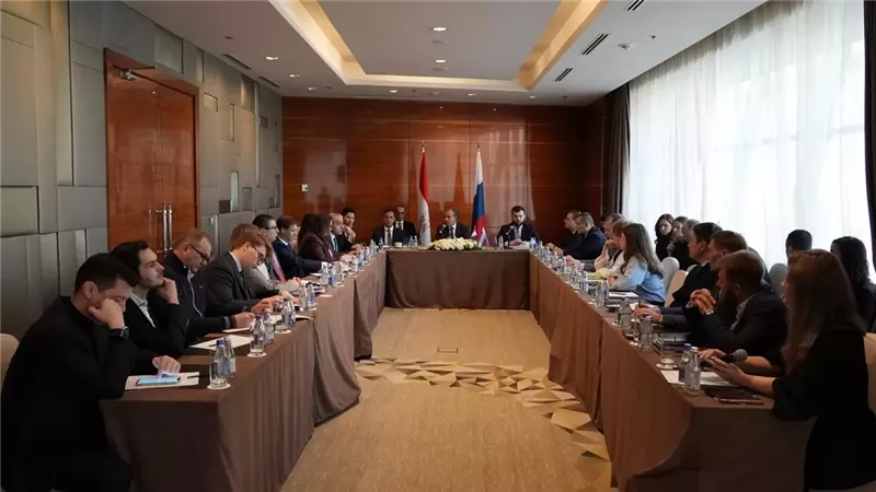 وزير الخارجية يبحث مع ممثلي كبرى الشركات الروسية الفرص الاستثمارية في مصر