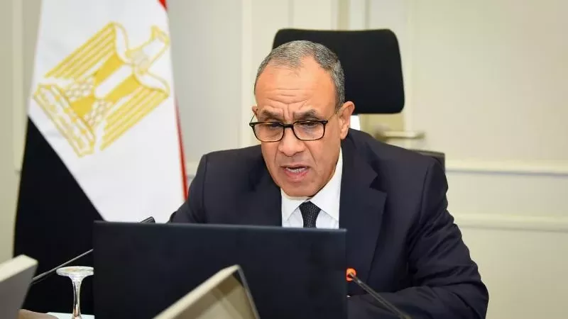 وزير الخارجية فى اجتماع افتراضي مع أبناء الجالية المصرية بالأردن