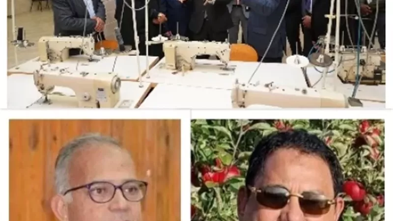 الإسماعيلية.. قلعة صناعية ولوجستية عملاقة