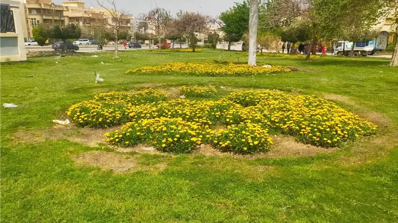 استعد لشم النسيم.. تطورات مذهلة في مسطحات القاهرة الجديدة الخضراء