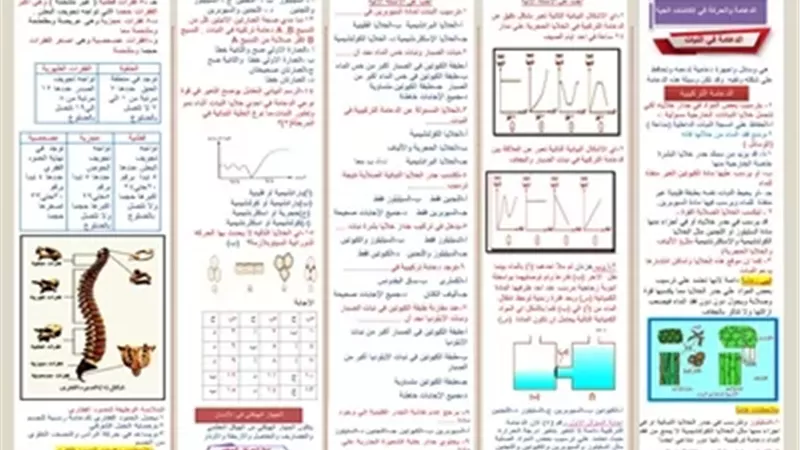 لطلاب علمي علوم.. مراجعة هامة في الأحياء للثانوية العامة 2026