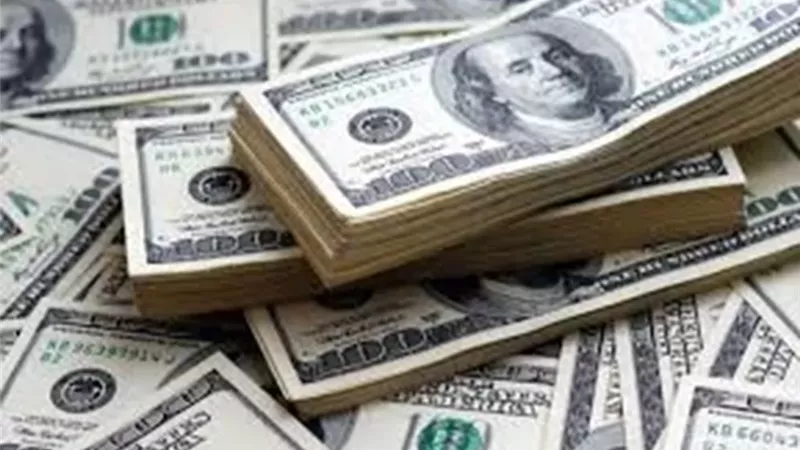 استقرار سعر الدولار أمام الجنيه المصري اليوم