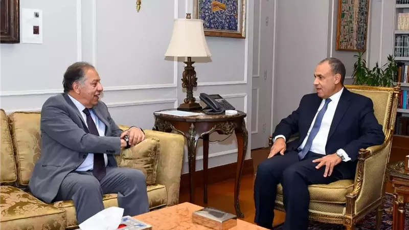 وزير الخارجية يستقبل رئيس لجنة الشئون الأفريقية بمجلس النواب