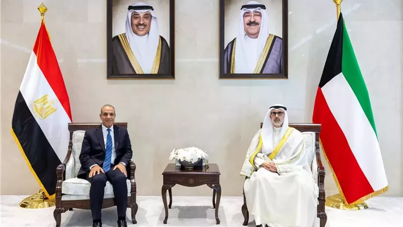وزير الخارجية يؤكد تضامن مصر الكامل مع دولة الكويت الشقيقة
