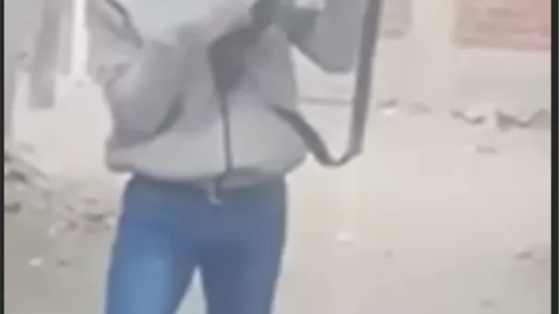سقوط عامل استعرض بسلاح ناري مزيف على مواقع التواصل الاجتماعي