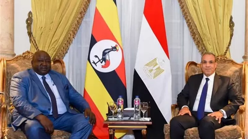 مصر تدعو لرفض الإجراءات الأحادية وتعزيز التعاون بين دول حوض النيل