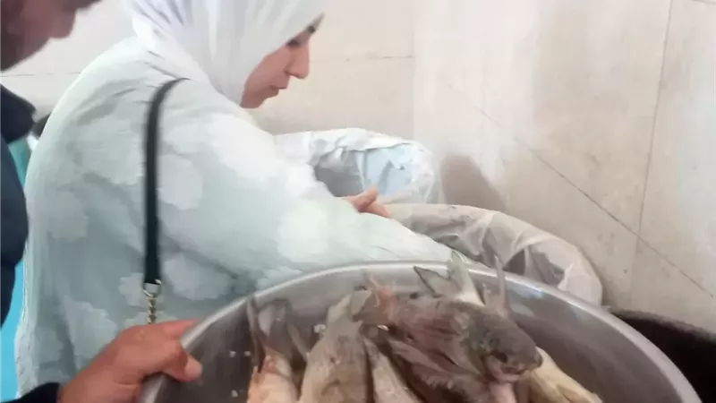 ضبط 582 كيلو فسيخ ورنجة غير صالحة للاستهلاك الآدمي