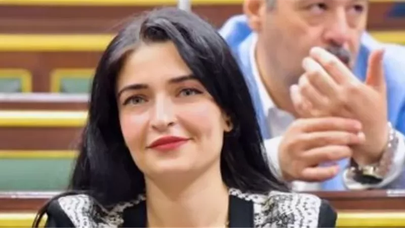 النائبةإيرين سعيد تشيد بتوجيهات الرئيس بشأن قانون الأسرة