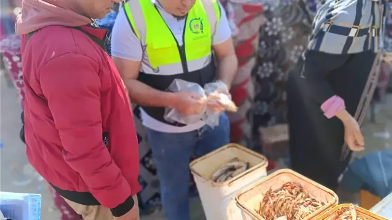 إعدام ٣٦٥ كجم أسماك مملحة فاسدة بالإسماعيلية..صور