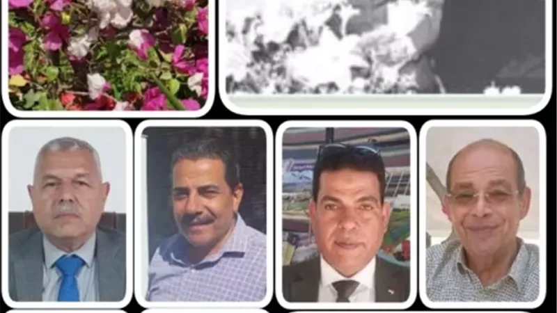 زهور الربيع 