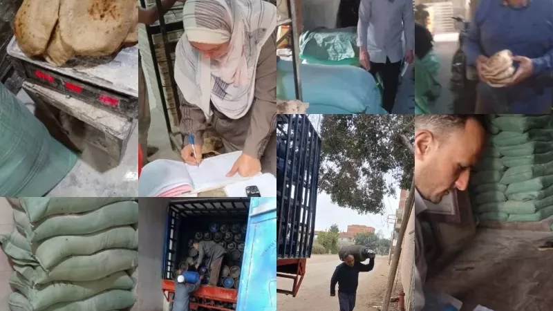 حملات تموينية بالقليوبية تُحرر 44 محضراً وتضبط مخالفات بالمخابز