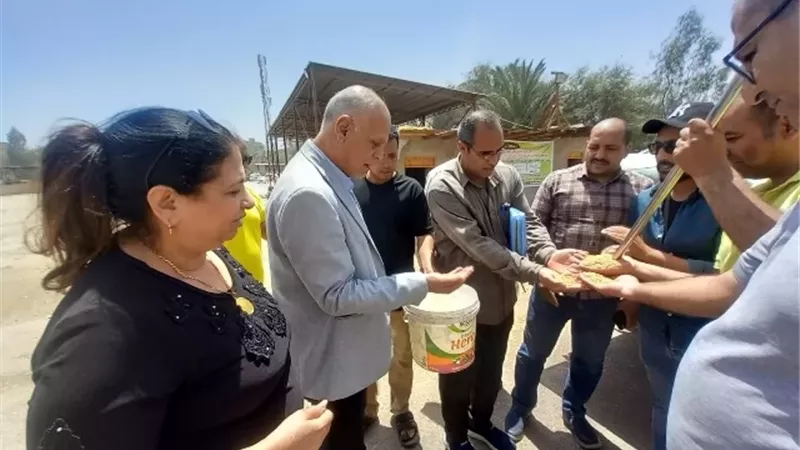 محافظ أسيوط يعلن بدء موسم حصاد القمح 2026
