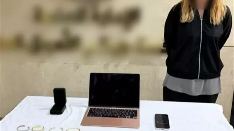 الداخلية تضبط سيدة استولت على مشغولات ذهبية وبضائع بإيصالات مزورة