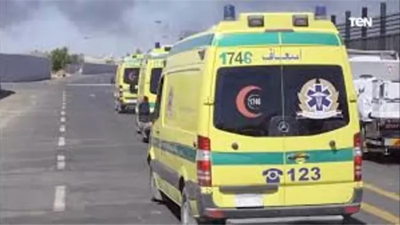 إصابة طفلة نتيجة سقوط أرجوحة عليها داخل نادى بمدينة 6 أكتوبر