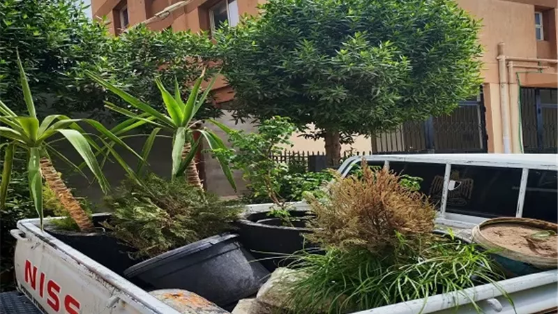 رئيس مدينة الأقصر يتابع أعمال النظافة والمسطحات الخضراء بالكورنيش