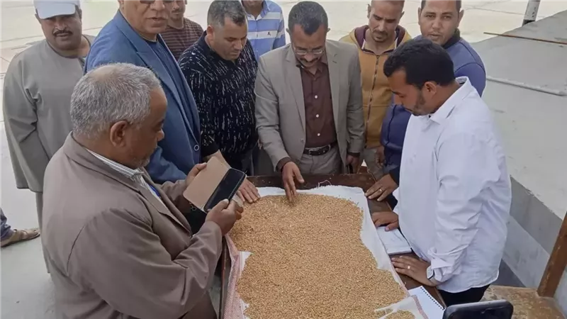 محافظ المنيا يعلن استلام أكثر من 9 ألف طن قمح في مستهل موسم حصاد