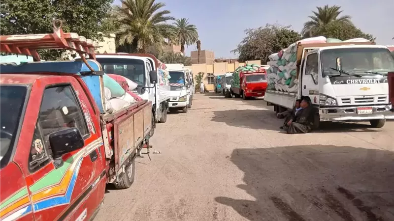 محافظ سوهاج: توريد أكثر من 3322 طن قمح للشون والصوامع