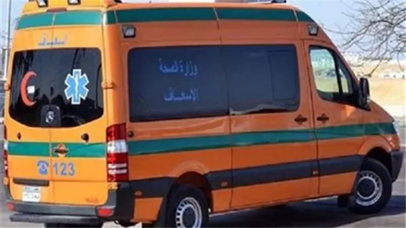 مصرع شخصين وأصابة 2 آخرون فى حادث تصادم باسوان