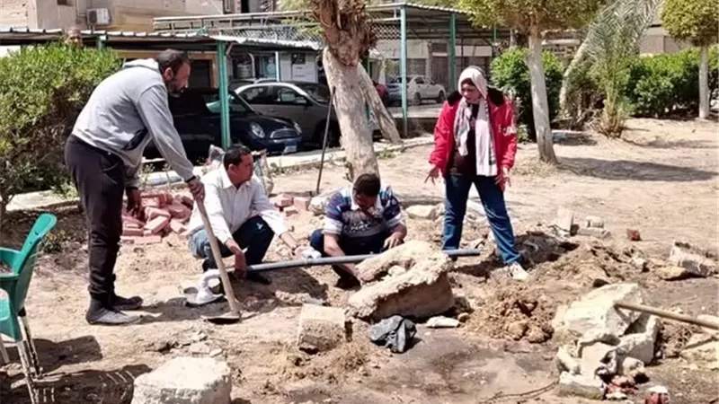 تطوير وتجميل المسطحات الخضراء بالإسماعيلية
