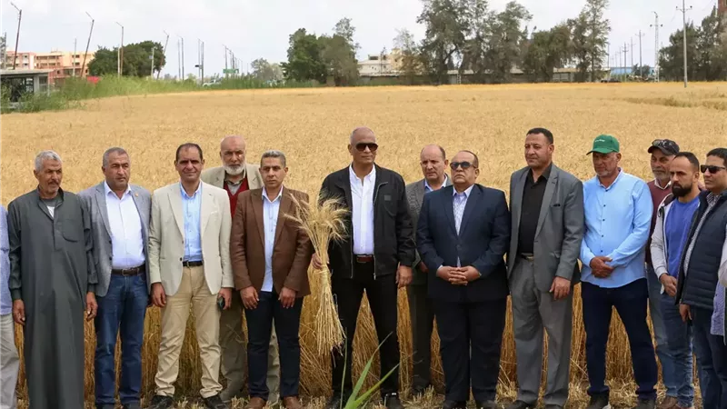 محافظ كفرالشيخ يطلق موسم حصاد القمح من حقول قرية نصره