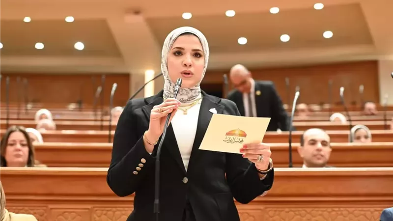 غادة قنديل تتقدم بطلب إحاطة لإعادة طرح تكليف كامل لخريجي المهن الطبية