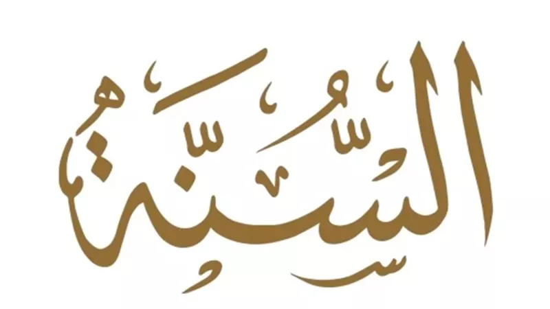 استاذ للشريعة يوضح معنى السنة التقريرية