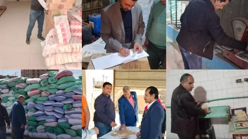 حملات تموينية بالقليوبية تضبط 84 مخالفة مخابز وتتابع توريد القمح