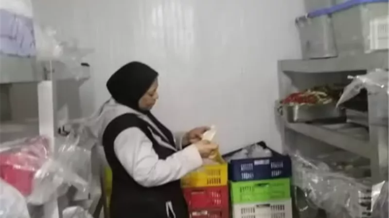 تحرير 240 محضرا تموينيا متنوعا بالإسماعيلية