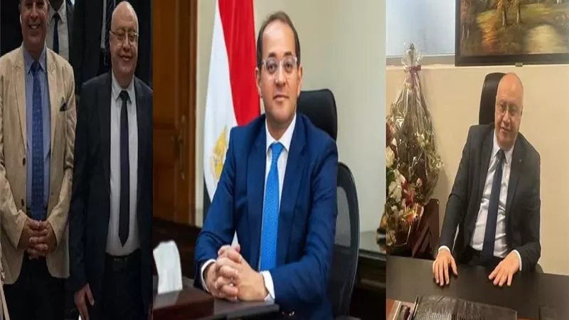 جمارك مطار القاهرة تضبط راكب بحوزته 3 كيلو ونصف من مخدر القات