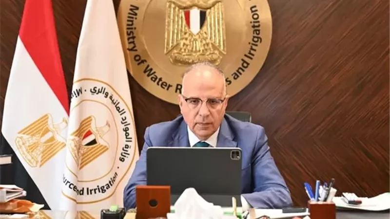وزير الري يشهد ختام البرنامج التدريبي لسفراء المياه الأفارقة
