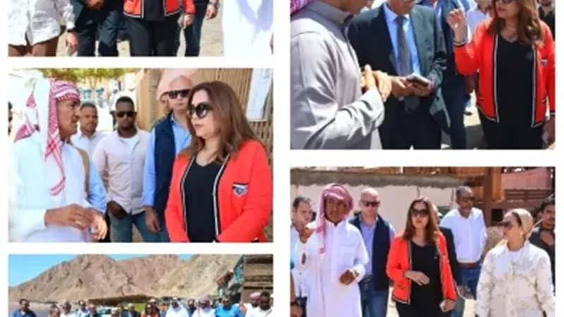 وزيرة التنمية المحلية والبيئة : تطوير خدمات 