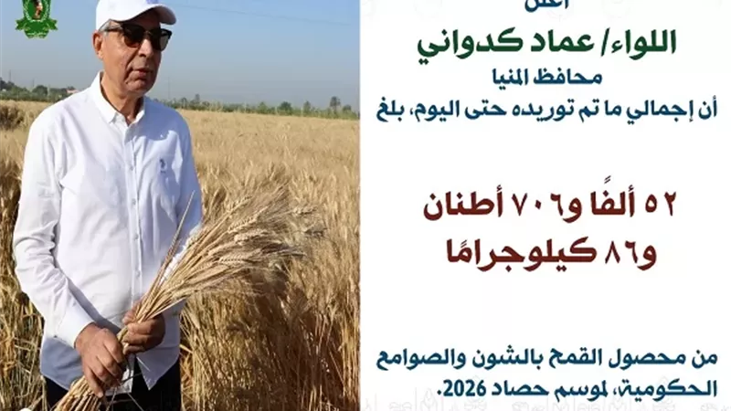 توريد 53 ألف طن قمح إلى الشون والصوامع منذ انطلاق الموسم بالمنيا