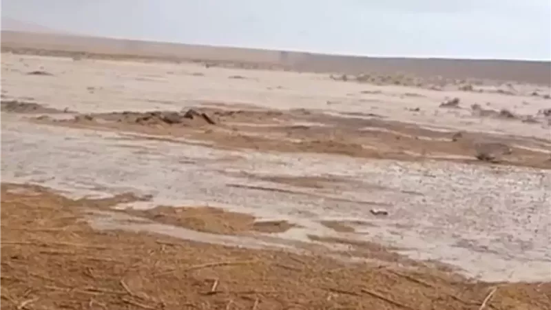 سيول في بعض أودية العريش ورفح والشيخ زويد ولم تسفر عن أي أضرار