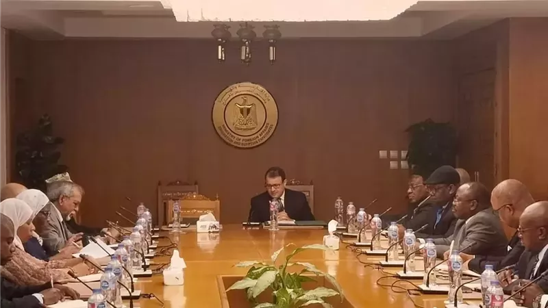 جلسة إحاطة لسُفراء الدول الإفريقية بالقاهرة حول التطورات بالمنطقة