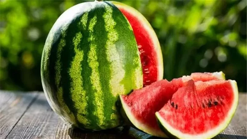 الزراعة: البطيخ في الأسواق آمن 100% والارتفاع طبيعي مع بداية الموسم