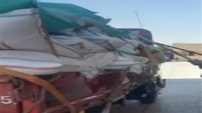 توريد 28 ألف طن قمح لمواقع التخزين والصوامع بالدقهلية