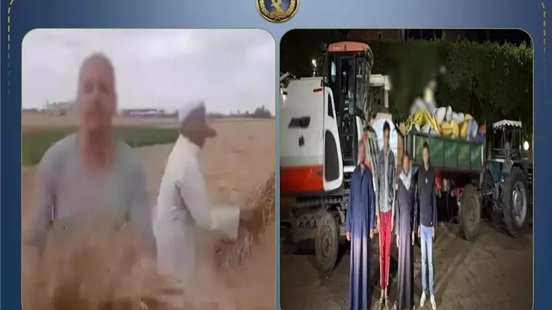 كشف لغز فيديو سرقة المحصول بالشرقية