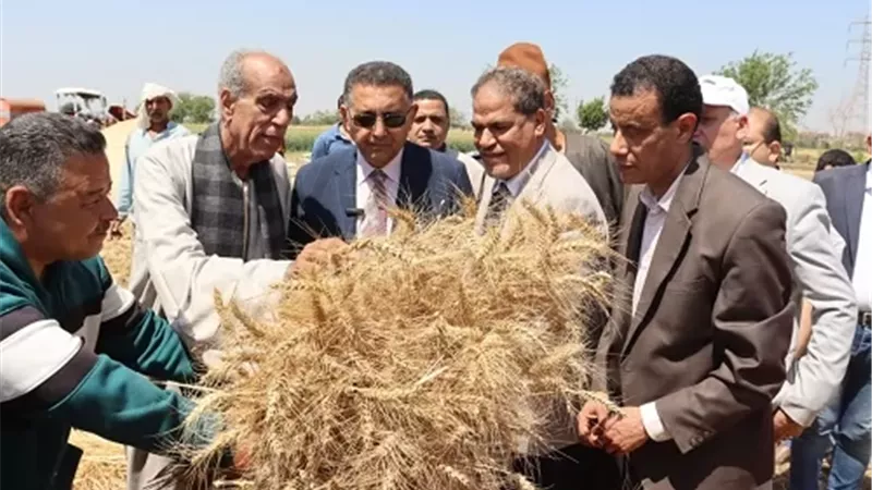 محافظ القليوبية يتفقد حصاد القمح 2026 ويؤكد على دعم المزارعين وزيادة الإنتاج